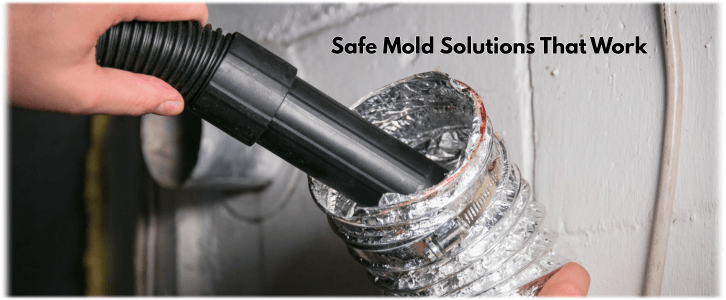 Air Duct Mold Removal in Scottsdale