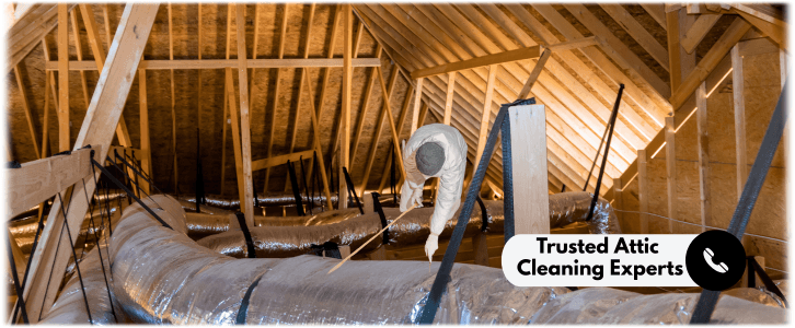 Attic Cleaning Scottsdale