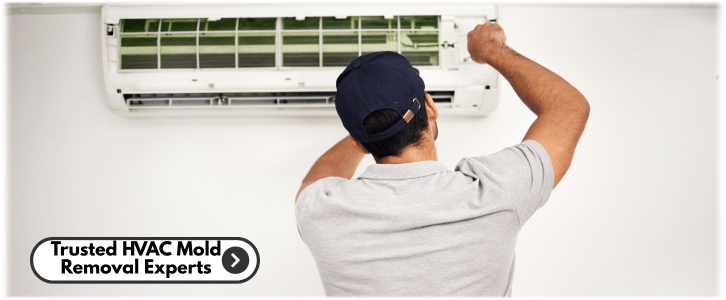 HVAC Mold Removal Scottsdale